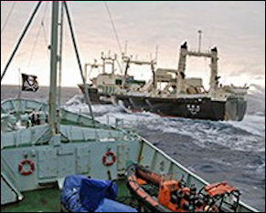 20111107-Sea Shepherd2007_DSC_0126.jpg